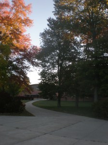 El sendero que nos guía a la sabiduría 